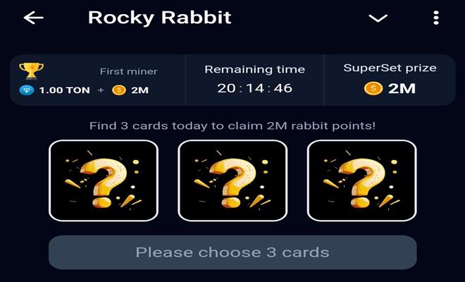 Rocky Rabbit daily combo cards