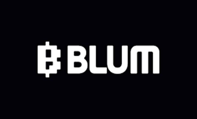 BLUM Video Codes 